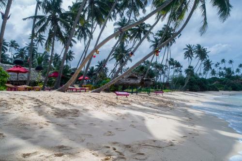 Hotel Mahi Mahi Beach Chalets