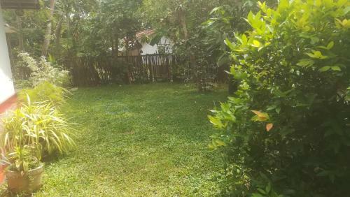 Bed & Breakfast Bamboo Home Stay Hiriketiya