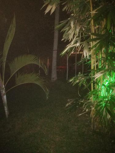 Bed & Breakfast Bamboo Home Stay Hiriketiya