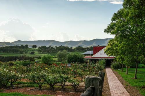 Lodge Hanging Tree Wines