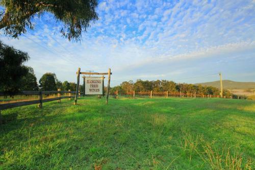 Lodge Hanging Tree Wines