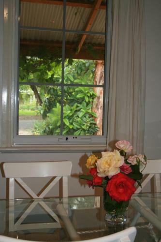 Amy's House Bed & Breakfast