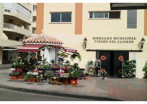 Apartamento Las Salinas