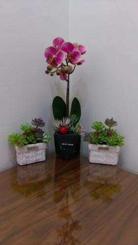 Park Shiyuan Homestay
