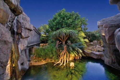 Apartment In Miramar Fuengirola II