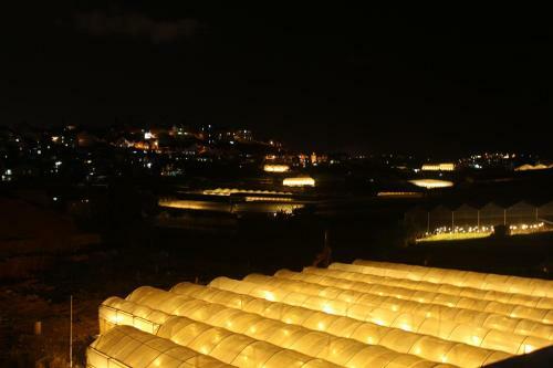 Hostal Nh� M�y Homestay