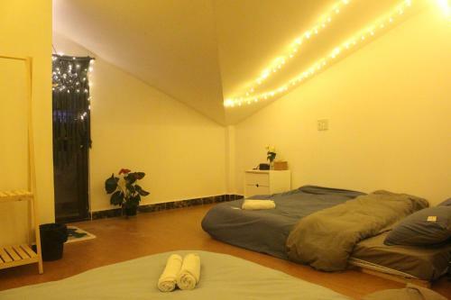 Hostal Nh� M�y Homestay