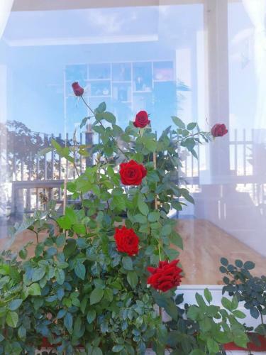 Apartamento Homestay ?� L?t Nguy�n C?n