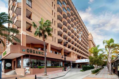 Apartamento Brand New Studio Palmeras