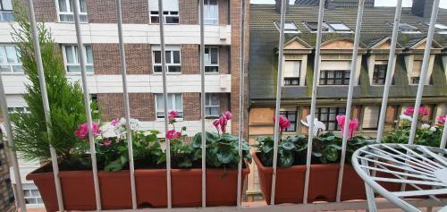 Apartamento Dindurra Lux