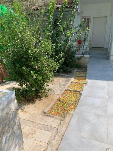 Apartamento Exclusive Comfort Premium