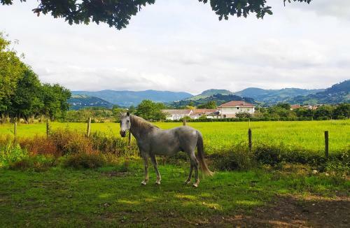 Posada Family House Gij�n