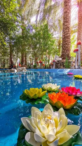 Villa Alberi Lodge