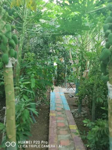 Agroturismo Happiness Farm