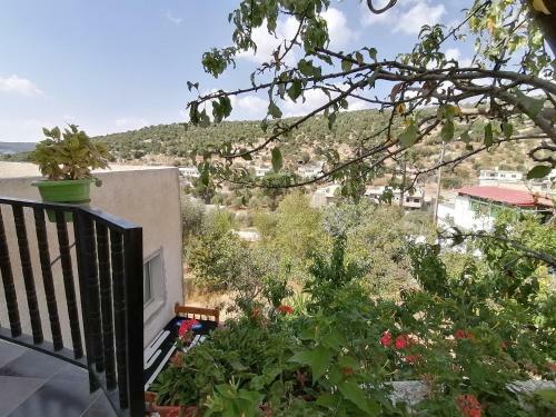 Ajloun Mihna Guest House