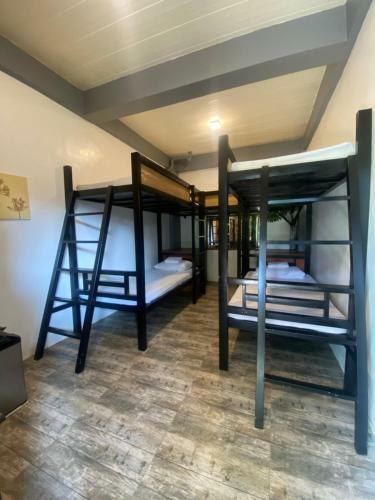 Hotel Floating Sanctuary By Cocotel - Fully Vaccinated Staff