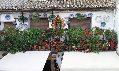 Apartamento Esmeralda's House
