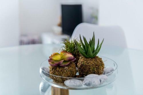 Apartamento Violeta's Home