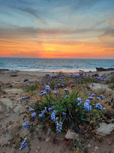 Apartamento Holy Flow House