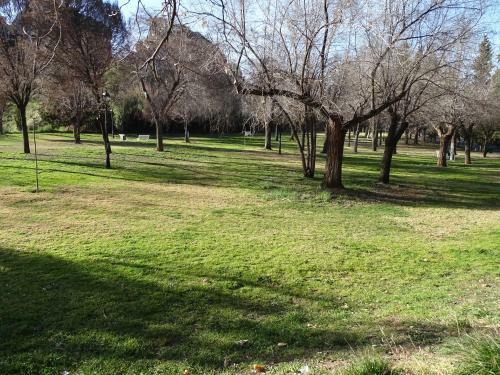 Apartamentos Serrallo