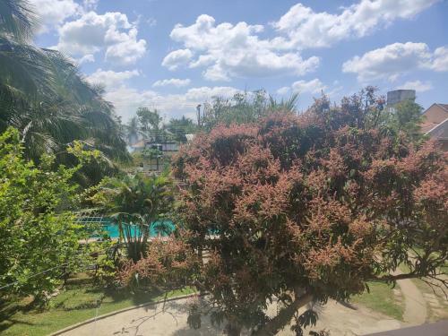 Apartamento Green Village Negombo