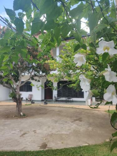 Apartamento Green Village Negombo