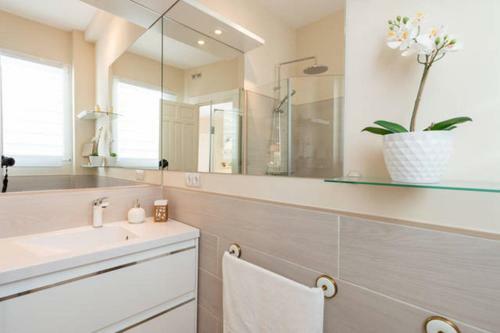 Apartasuite Deluxe Centro Hist�rico �tico Tranquilo Con Terrazas A Pie de Calle
