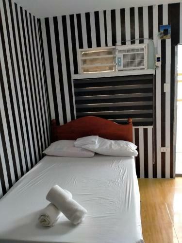 Cabanatuan Transient Djci Apartelle Rm7