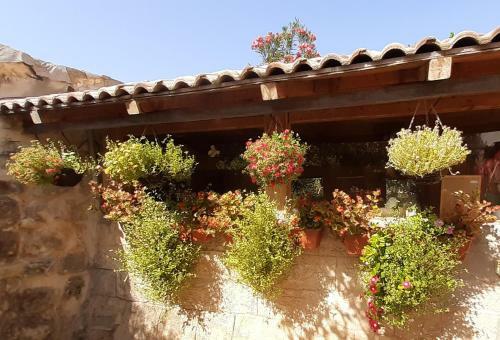Villa 19th Century Magical House In Galilee