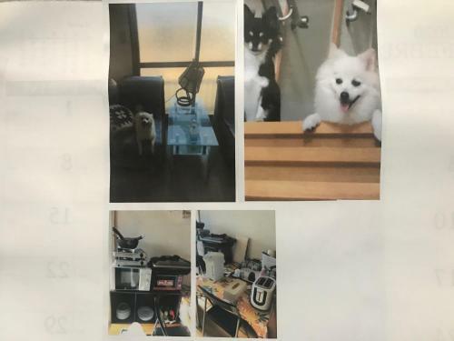 Apartamento Stay Akeboshi Kan