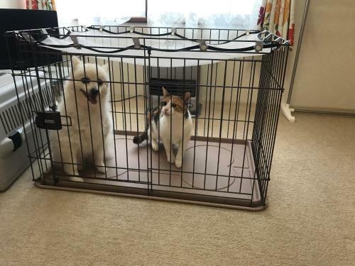 Apartamento Stay Akeboshi Kan