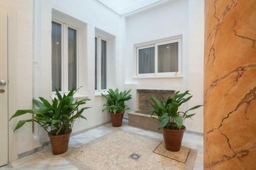 Apartamento Rosarioseis Albaicin