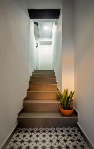 Hostal Casa Flor Del Naranjo