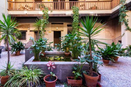 Apartamento Junto Al Albaic�n Con Terraza
