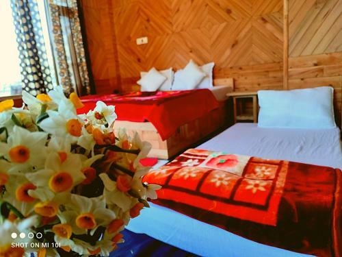 The Mountain View Cottage (jibhi)