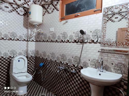 The Mountain View Cottage (jibhi)