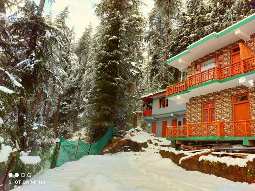 The Mountain View Cottage (jibhi)