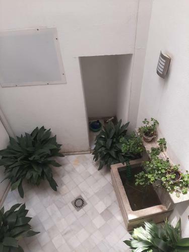 Apartamento Plaza Nueva's House "el Consulado"
