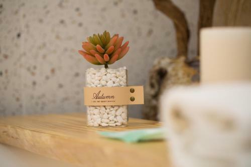 Bodhisattva Guest House