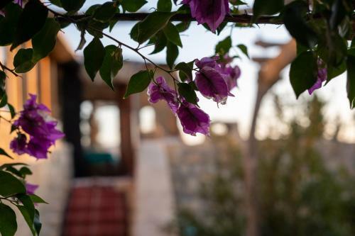 Hostal Beit Al Taybeh