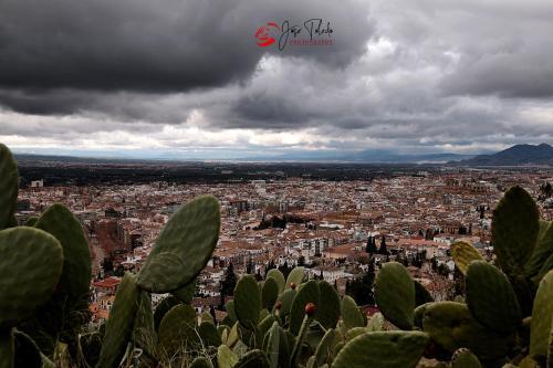 Apartamento Majestic Alhambra