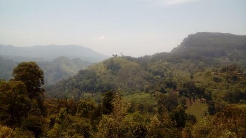 Daban Homestay Ella