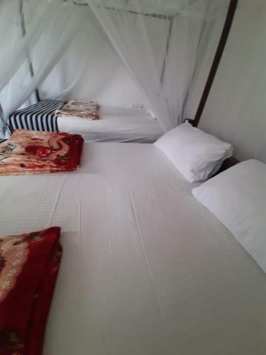 Welcome Homestay