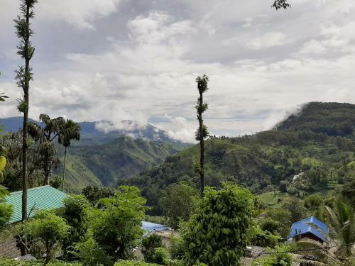 Owinhill Homestay