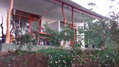 Every View Homestay