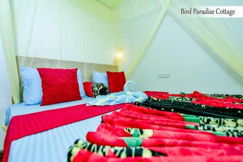 Bird Paradise Cottage