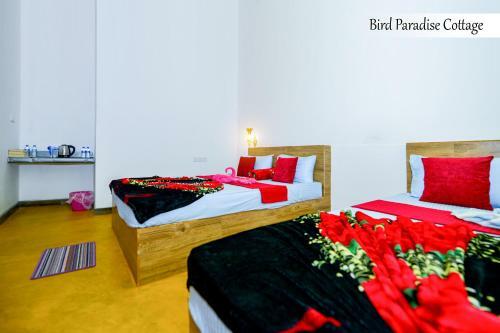 Bird Paradise Cottage