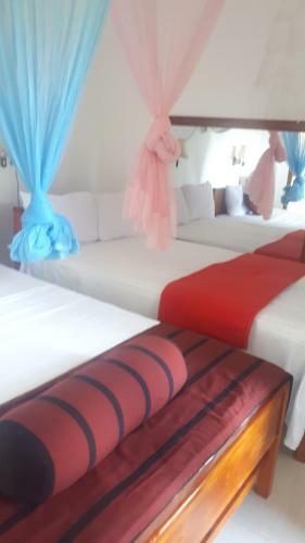New Farmers Paradise