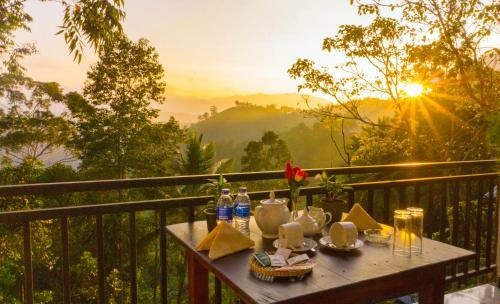 Hostal Shining Green View