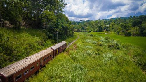 Lodge Ella Breeze Homestay